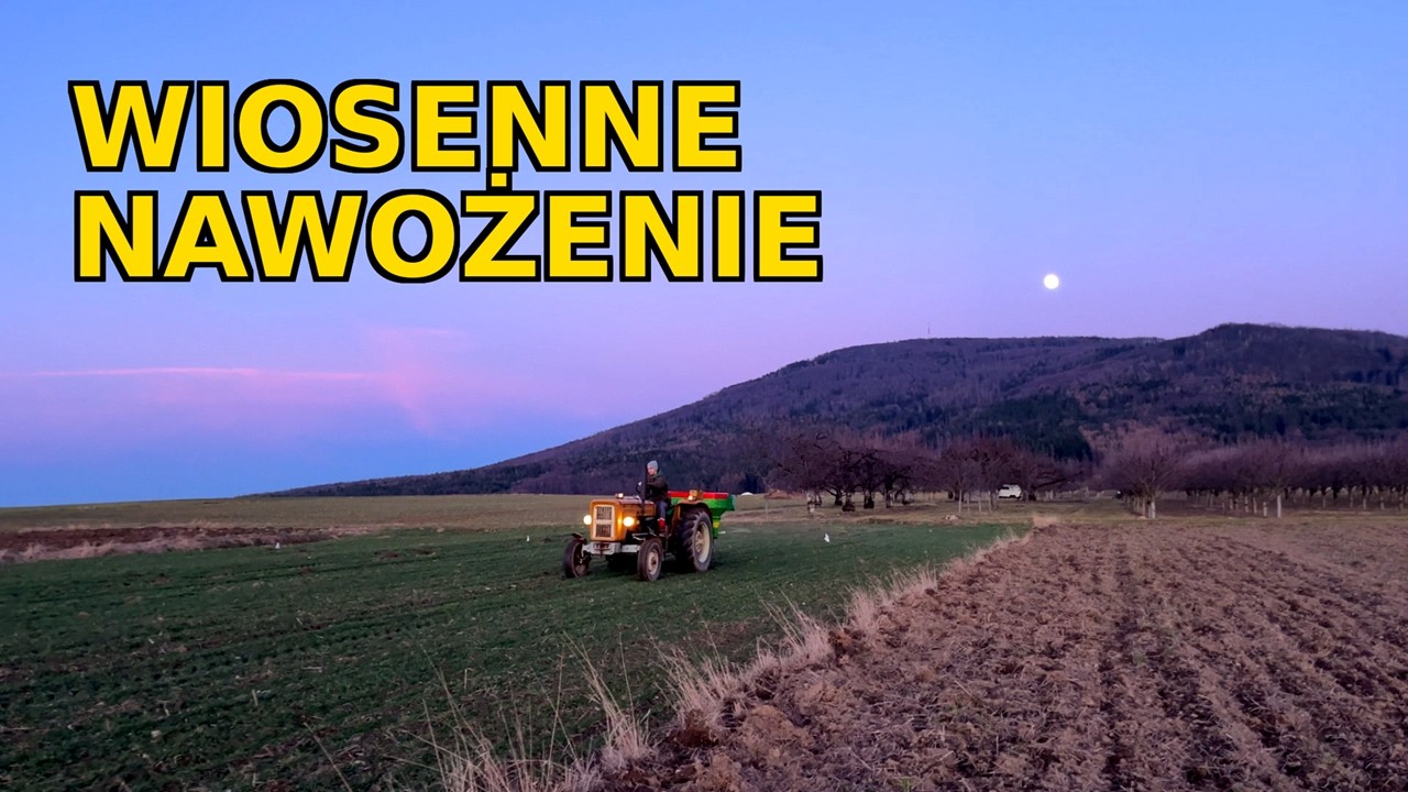 PIERWSZA DAWKA AZOTU NA PSZENICĘ – RUSZAMY W POLE