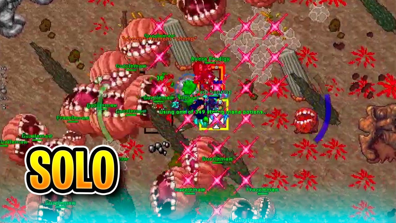 Willzera Solou Elder Druid 956 - Tibia #GameLab