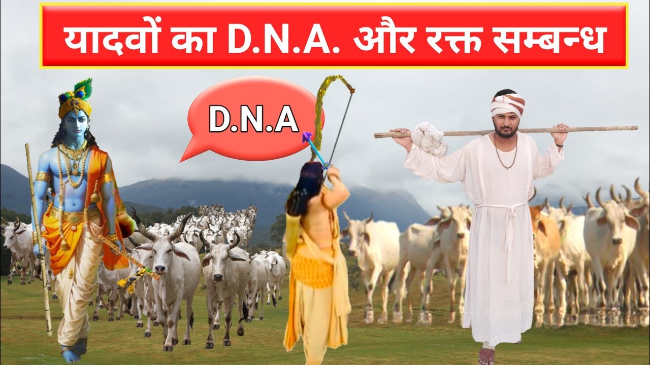 यादवों का D.N.A एवं रक्त सम्बन्ध।