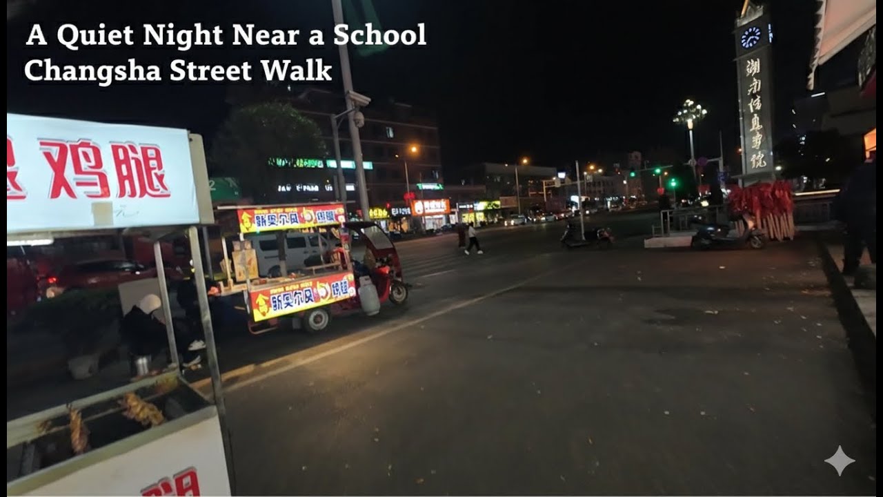 January Walk Near a School in Changsha | Street Observation (9 Minutes)长沙湖南信息学院附近随走