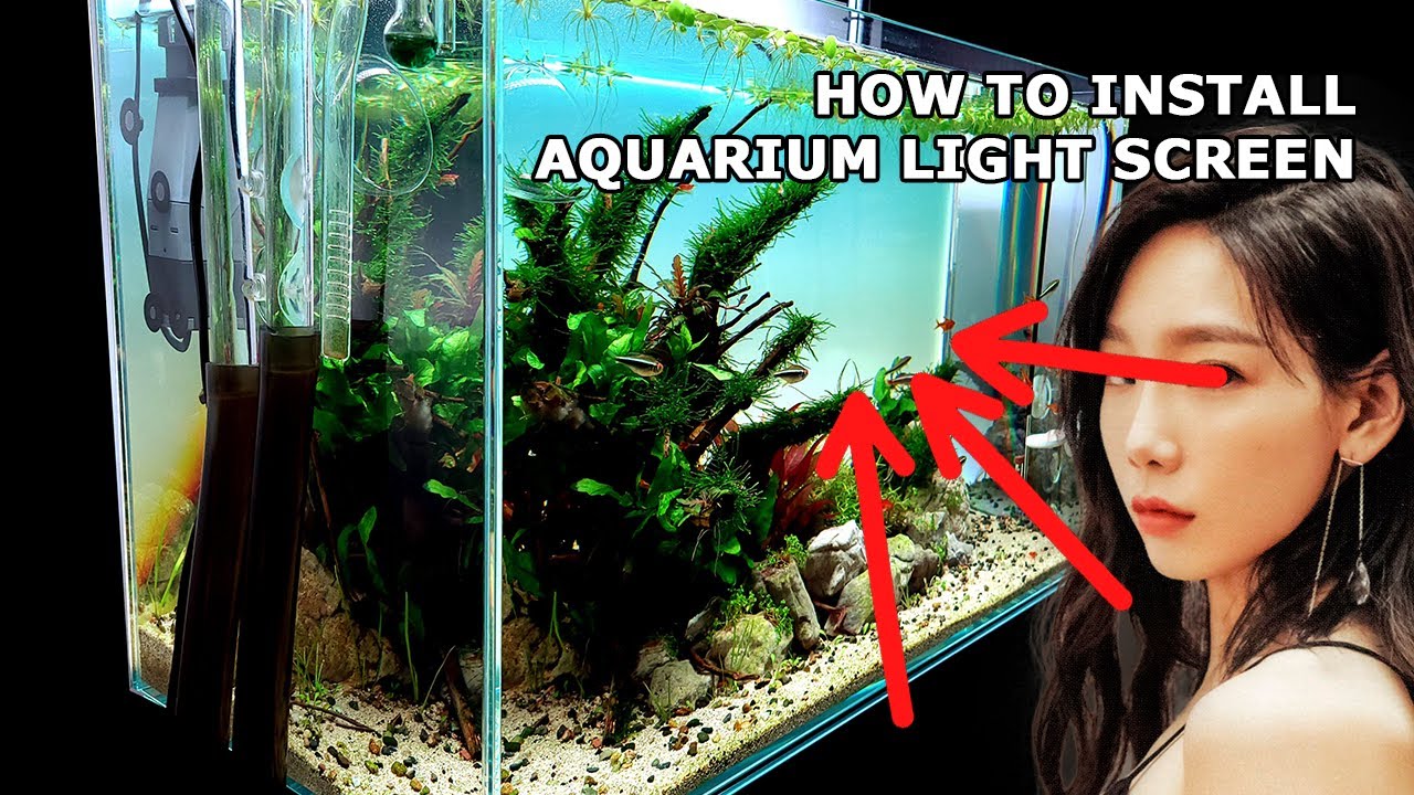 HOW TO INSTALL An Aquarium Light Screen (ADA LIGHT SCREEN Alternative: MakeMyLED 60cm Light Screen)