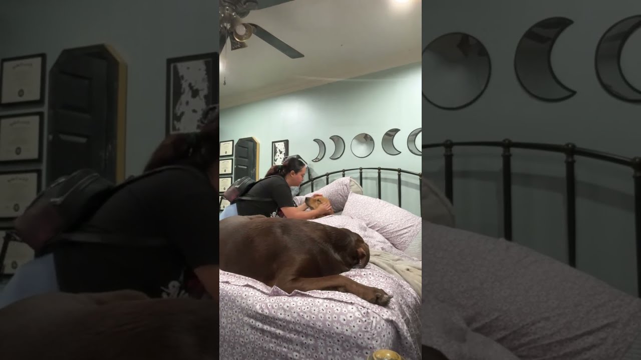 Bruce & Shiloh is live!