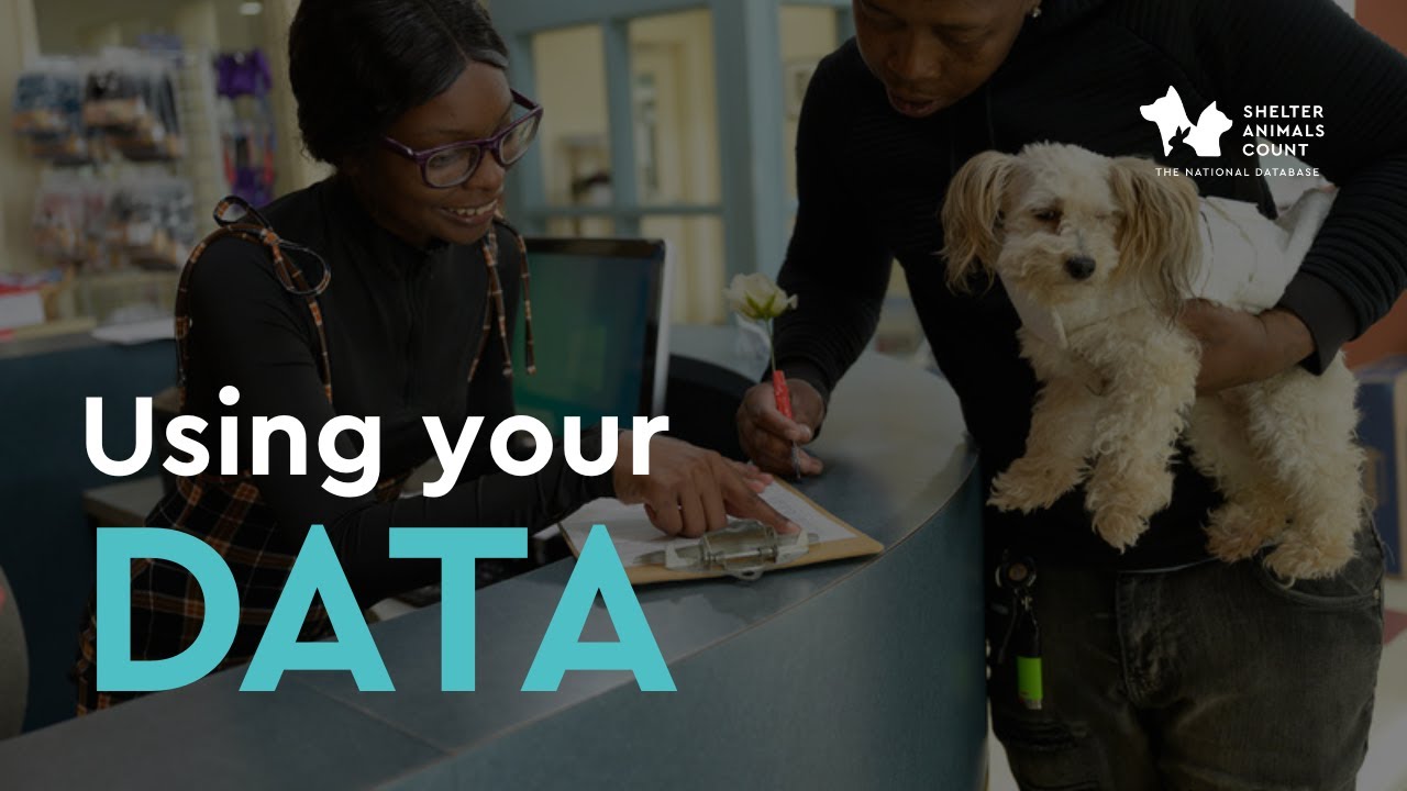 Using Your Data to Make Program Decisions | Dogs & Data Webinar Recap