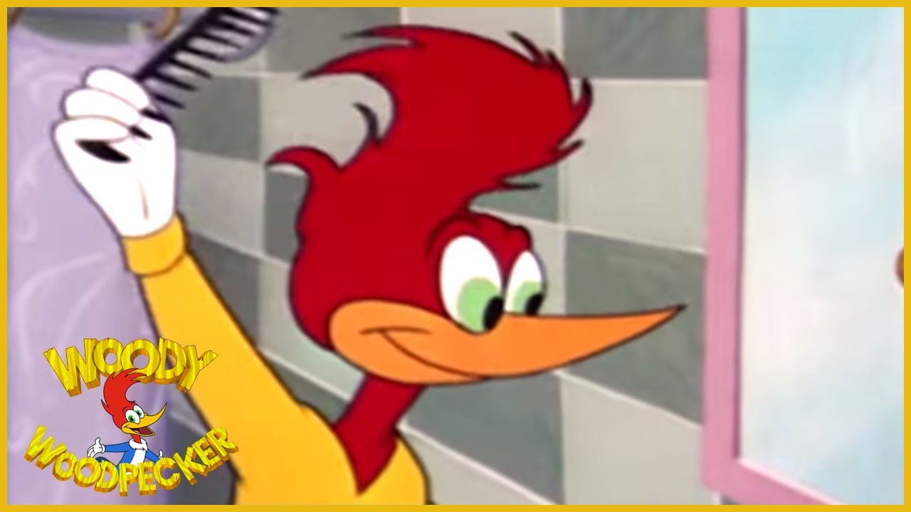 Woody Woodpecker | Real Gone Woody | Woody Woodpecker Full Episodes | Videos for Kids