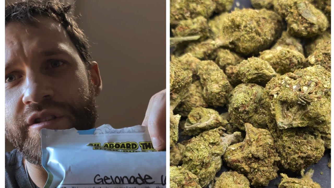 🔥 "Gelonade" thca small buds indoor bulk hemp 