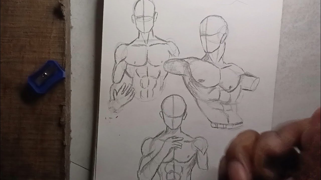how to draw male body.|| how to draw human body structure || .how to draw anatomy. #anatomy #drawing