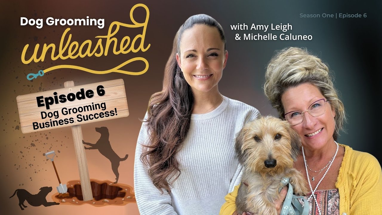 How to Run a Successful Dog Grooming Business
