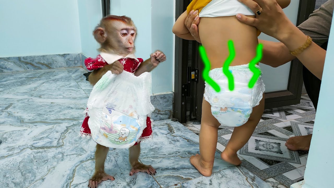 Monkey Hair Red helps mother bring diapers for Baby Diem to poop