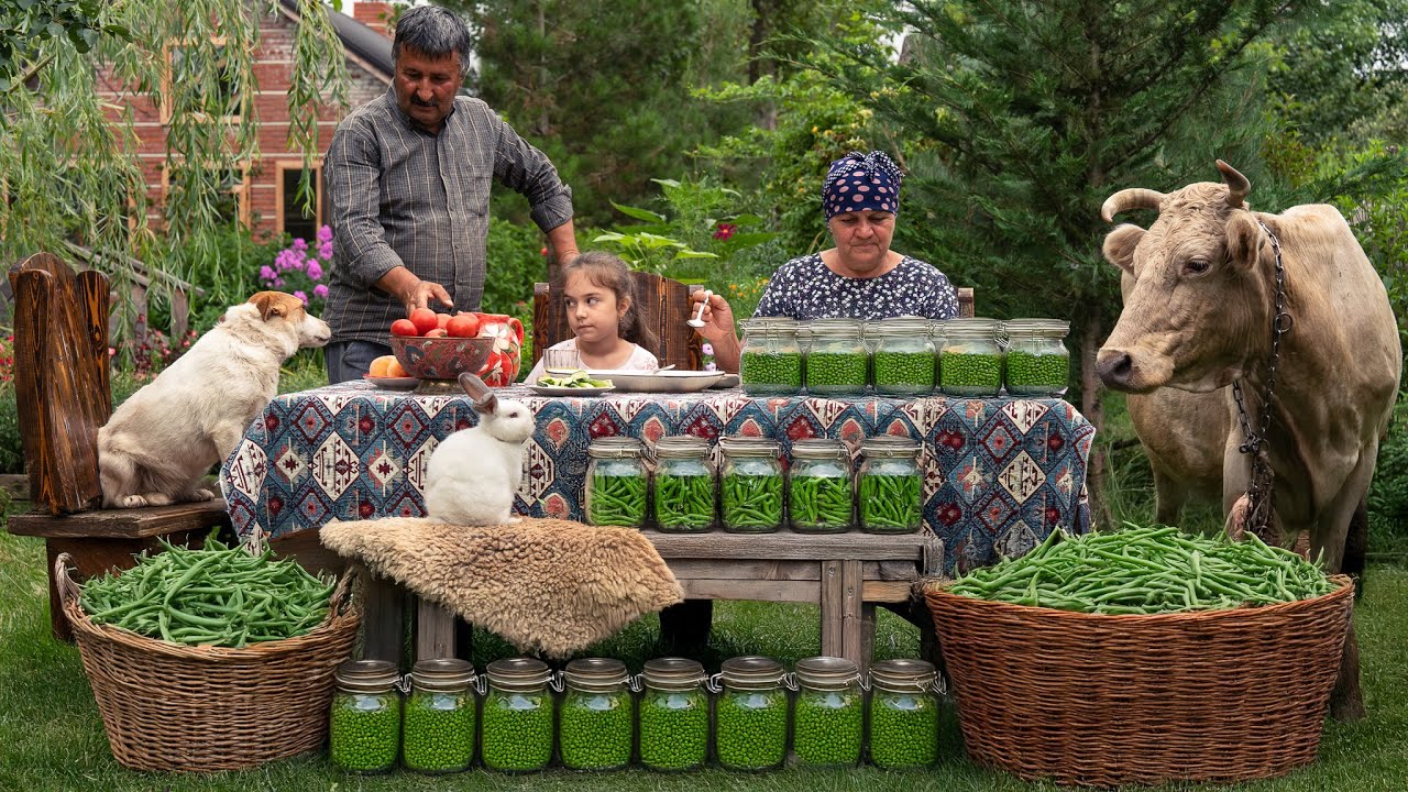 Сбор, Приготовление и Маринование Стручковой Фасоли — По-деревенски 🌿🫘🏡