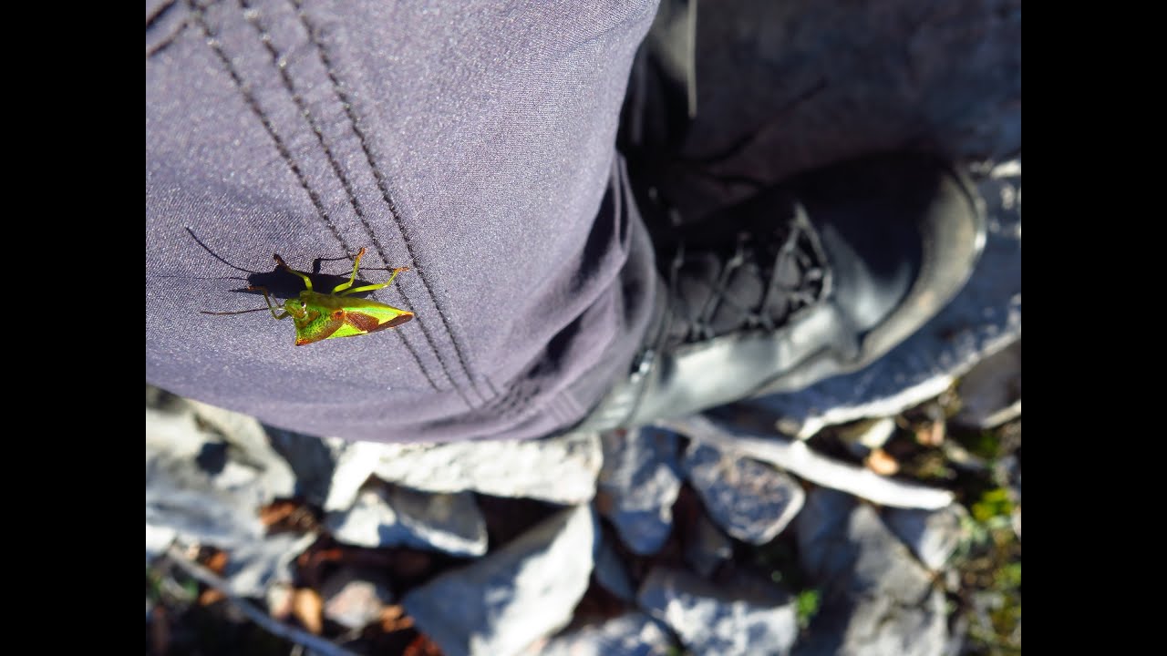 Turistika na Slovensku - vrcholy a skalné útvary medzi Kuchyňou a Bielou skalou