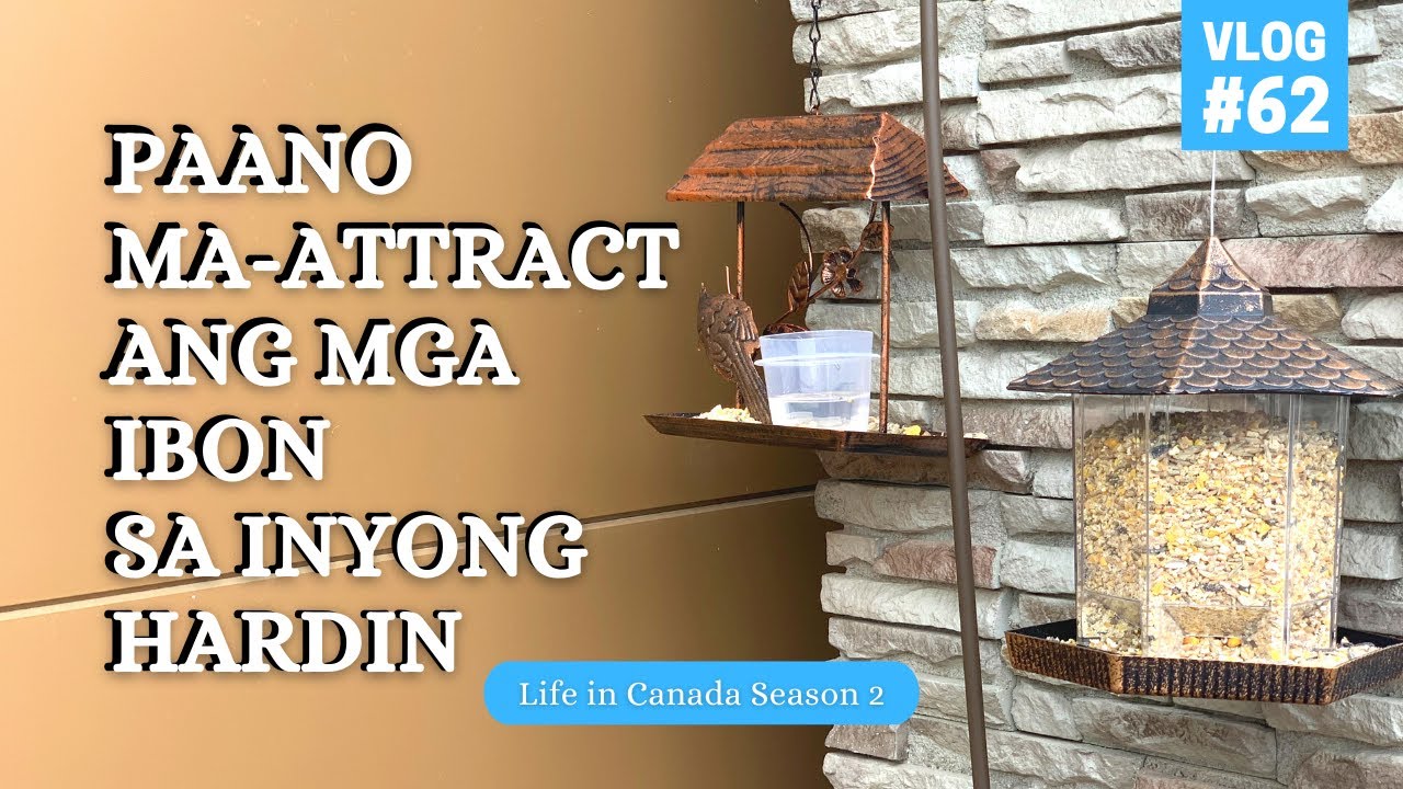 Paano mag-alaga ng ibon sa inyong hardin? |Paano ma-attract ang mga ibon sa inyong hardin o patio