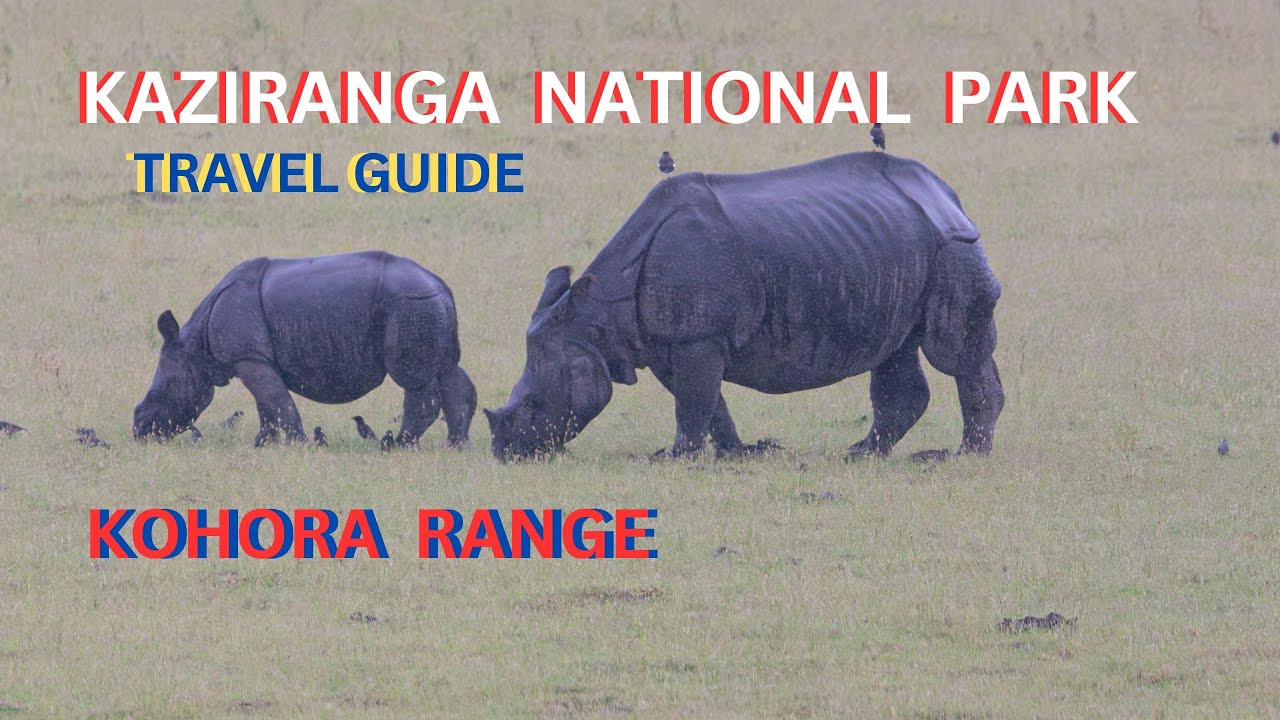 Kaziranga National Park Tour Guide Assam  | Kohora Range Or Central Range Hotel Details in Kaziranga