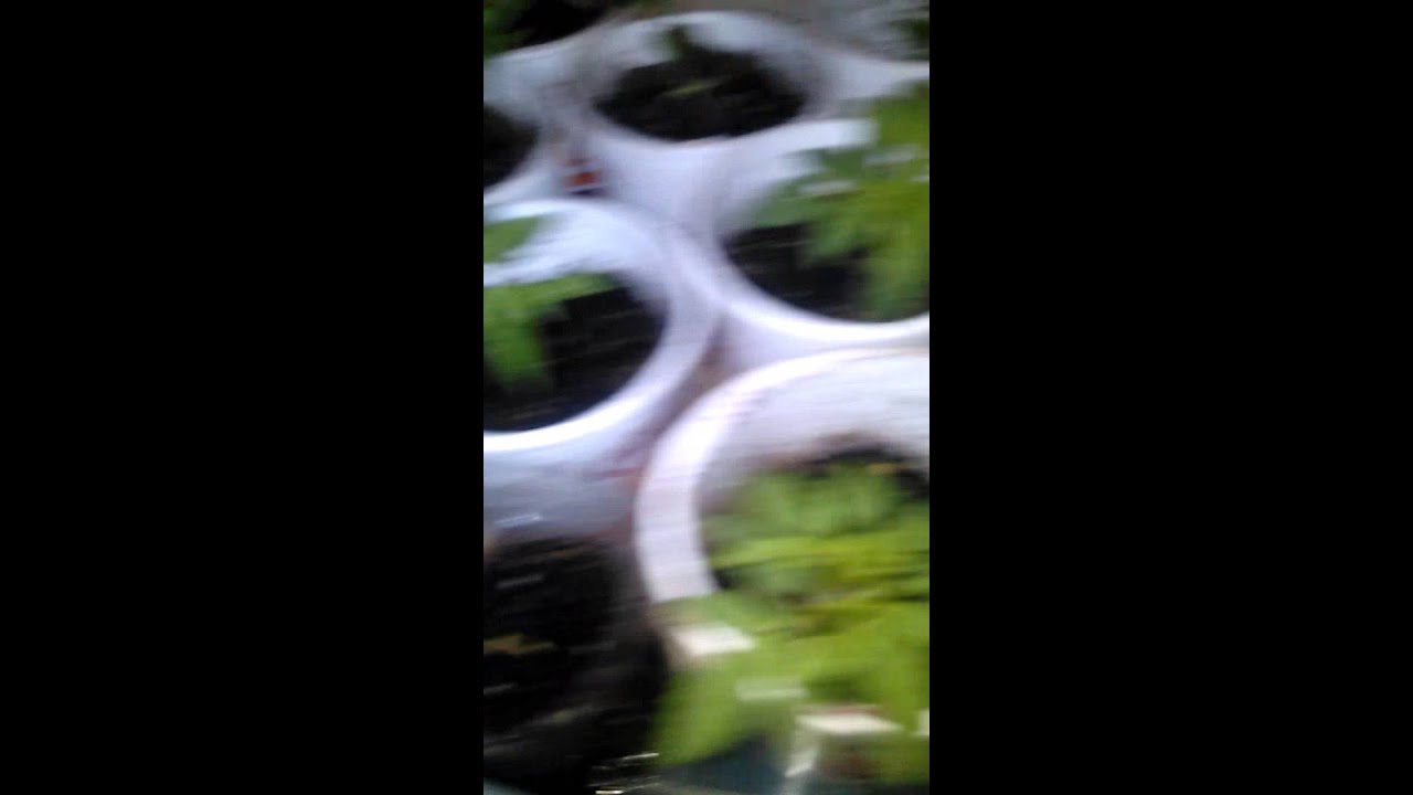 2016 medical cannabis grow