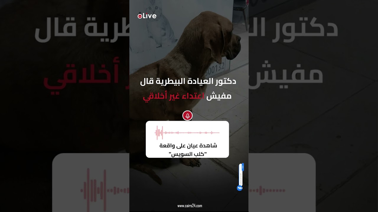 شاهدة على واقعة كلب السويس: دكتور العيادة قال مفيش اعتداء غير أخلاقي وطلب تحمل التكاليف الطبية