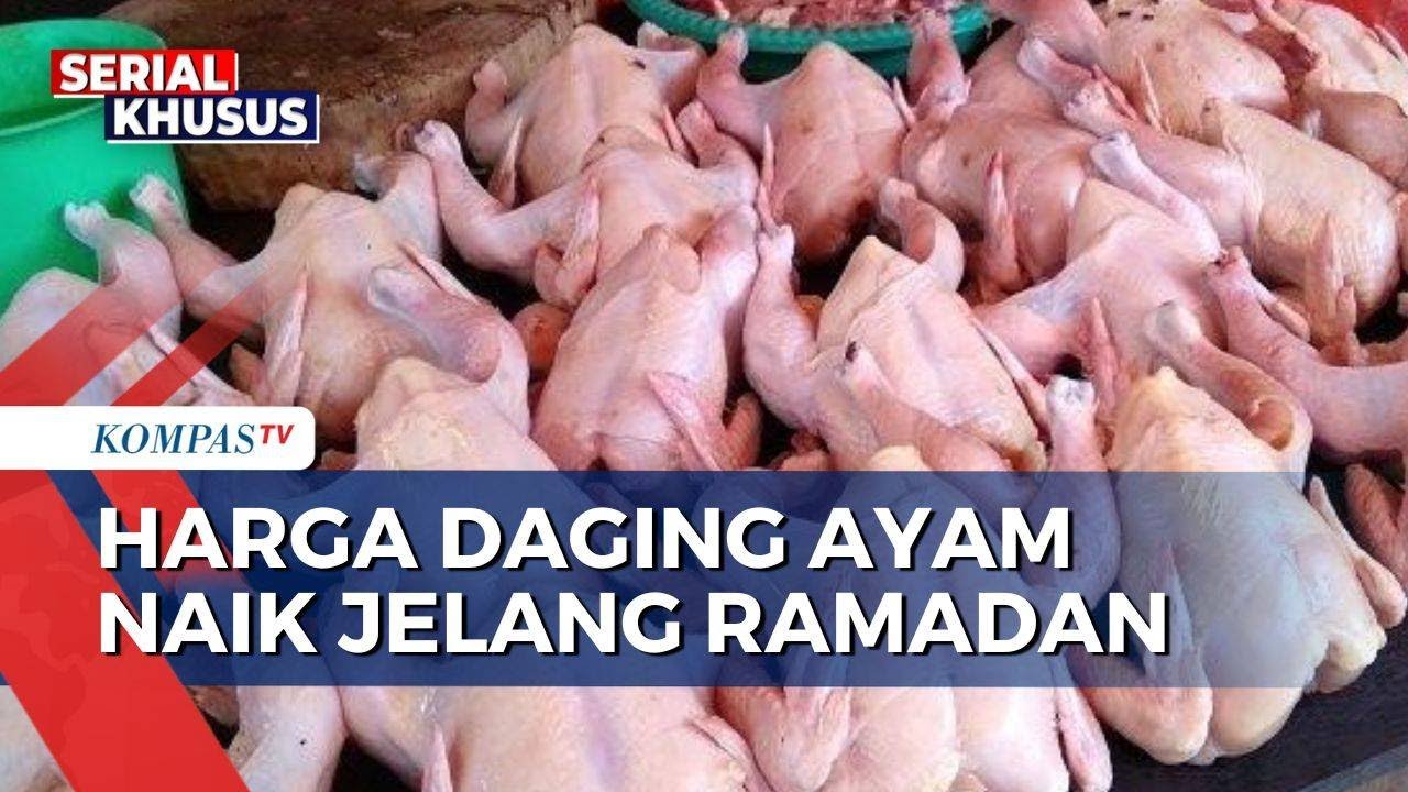 Jelang Ramadan, Harga Ayam dan Cabai Rawit Merangkak Naik