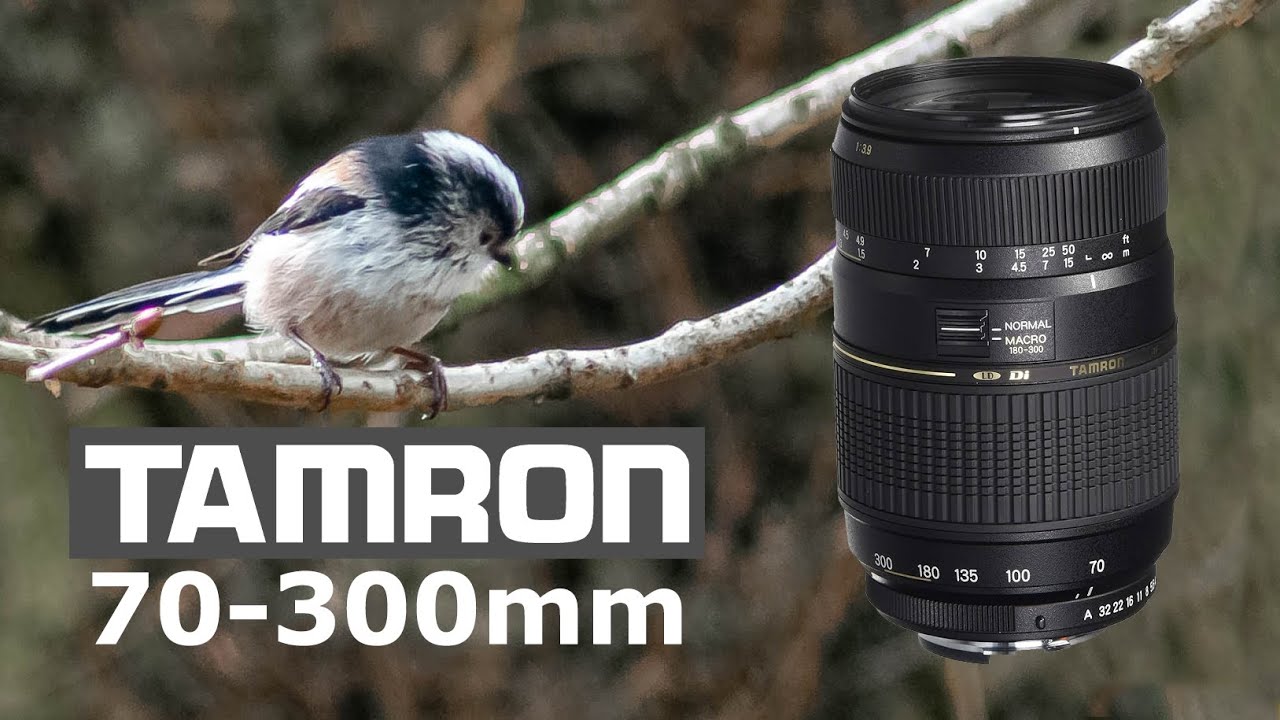 Nikon D3000 | Tamron 70-300mm