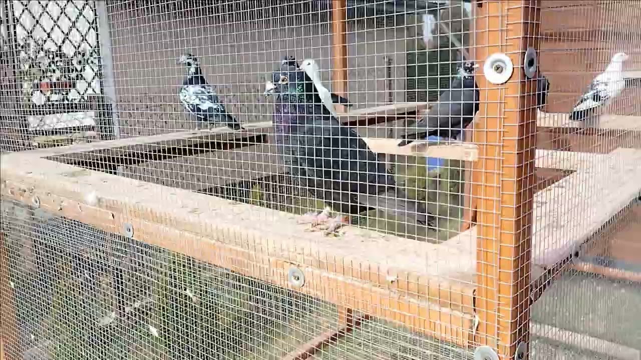 Zaczynam przygodę co będzie dalej okaże się 🧐