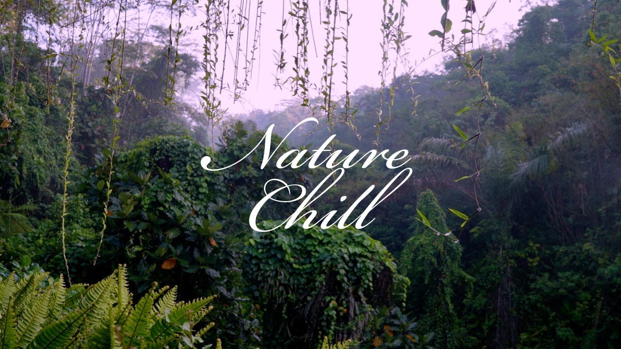 Relaxing Meditation Music Helps Anxiety-Zen Study/Sleep Music-Nature Chill Meditation #1 (Ubud) 4K