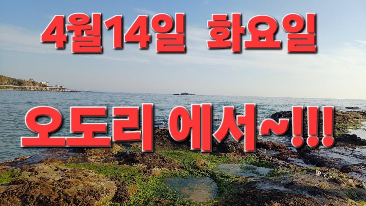 화요일 운세~오도리에서~후원 농협743 02 330261김종율ㆍ팔봉쌤010 3534 6632