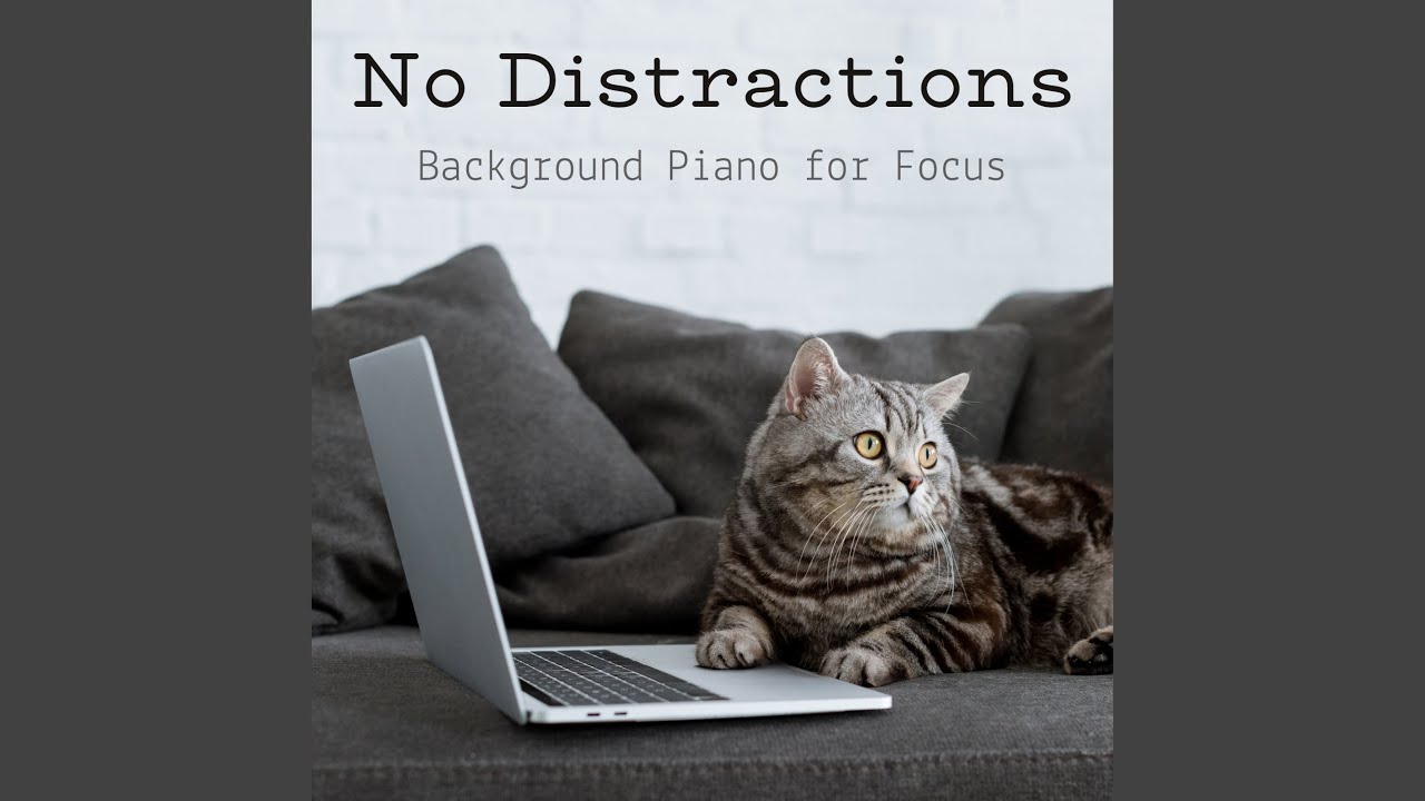 Working in Isolation