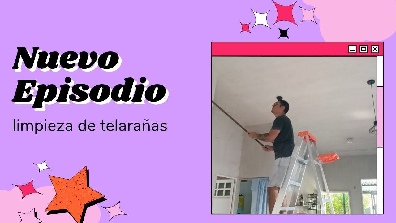 Limpieza de techo contras las telarañas 