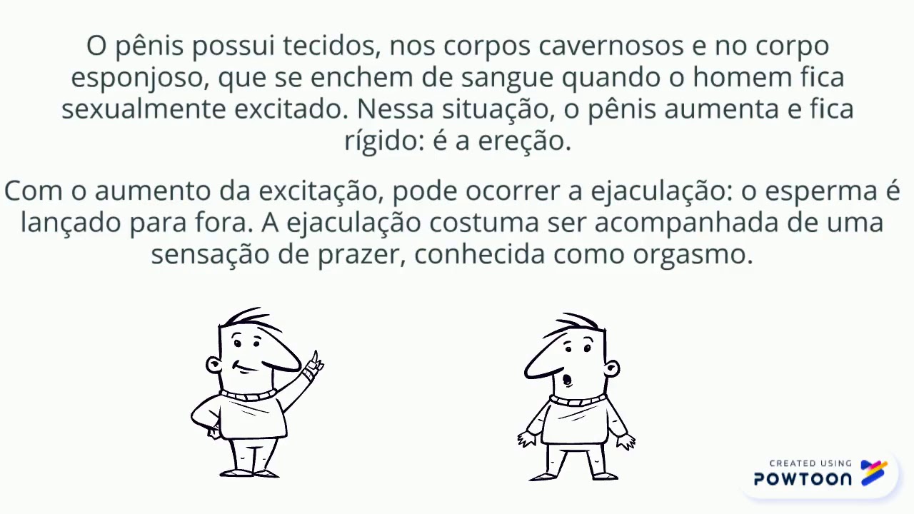 &Oacute;rg&atilde;os genitais masculinos