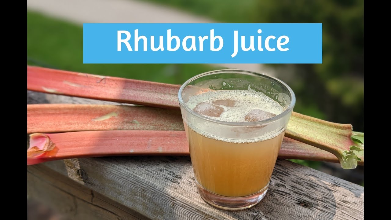 Rhubarb Juice - From Backyard to Plate (glass in this case)