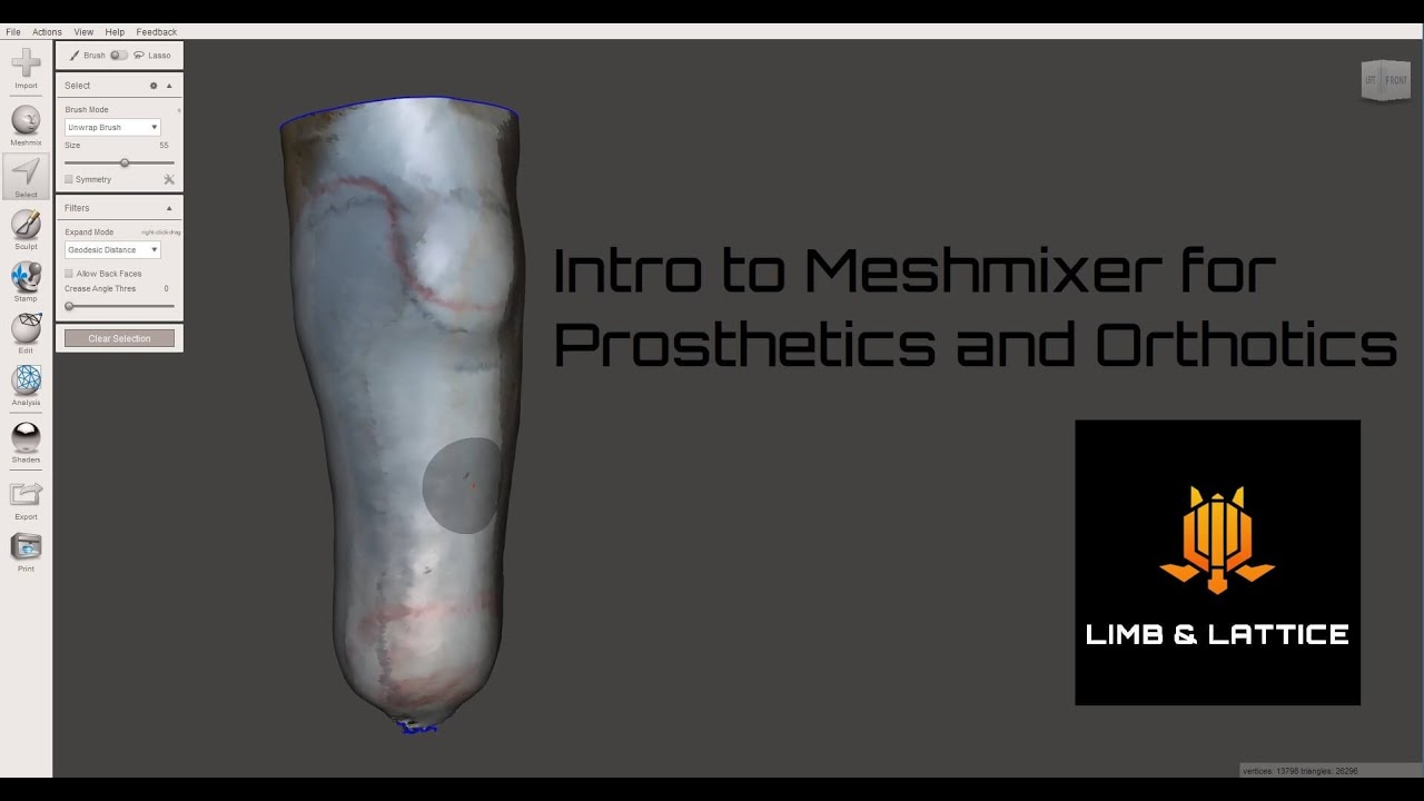 Intro to Meshmixer for Prosthetics and Orthotics
