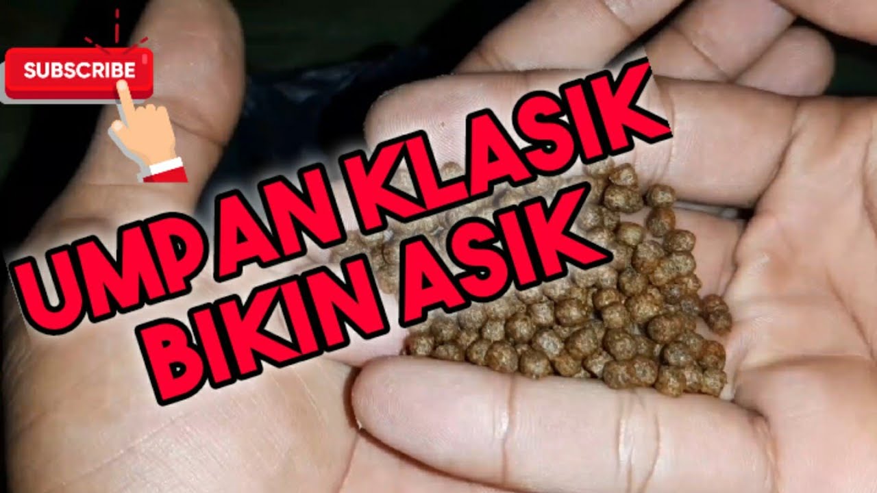 Tutorial membuat umpan ikan Nila, wader, nilem dengan bahan dasar pelet lele 100% super gacor!!!