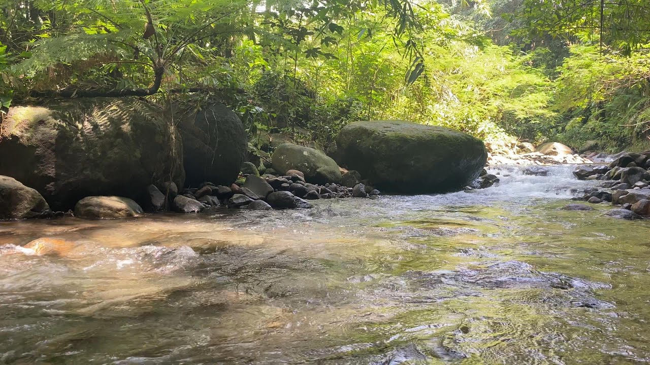 Gentle River Flow, Calm River Water Sounds for Sleep
