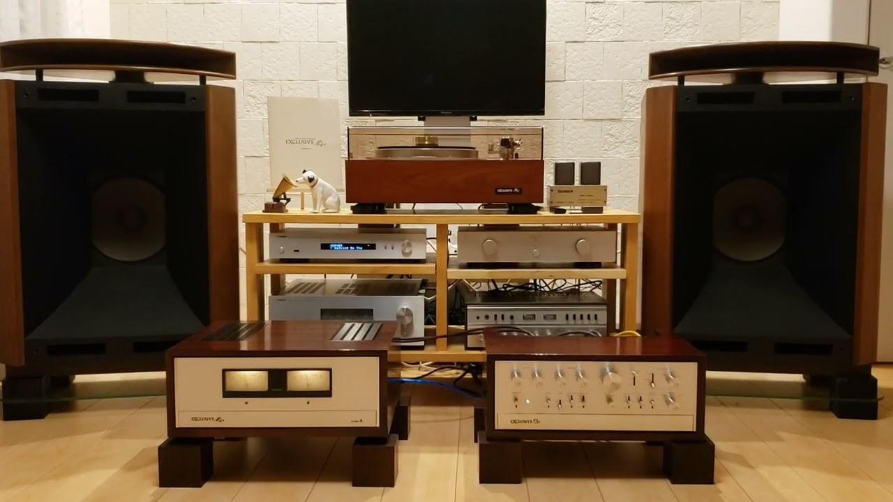 Exclusive Pioneer