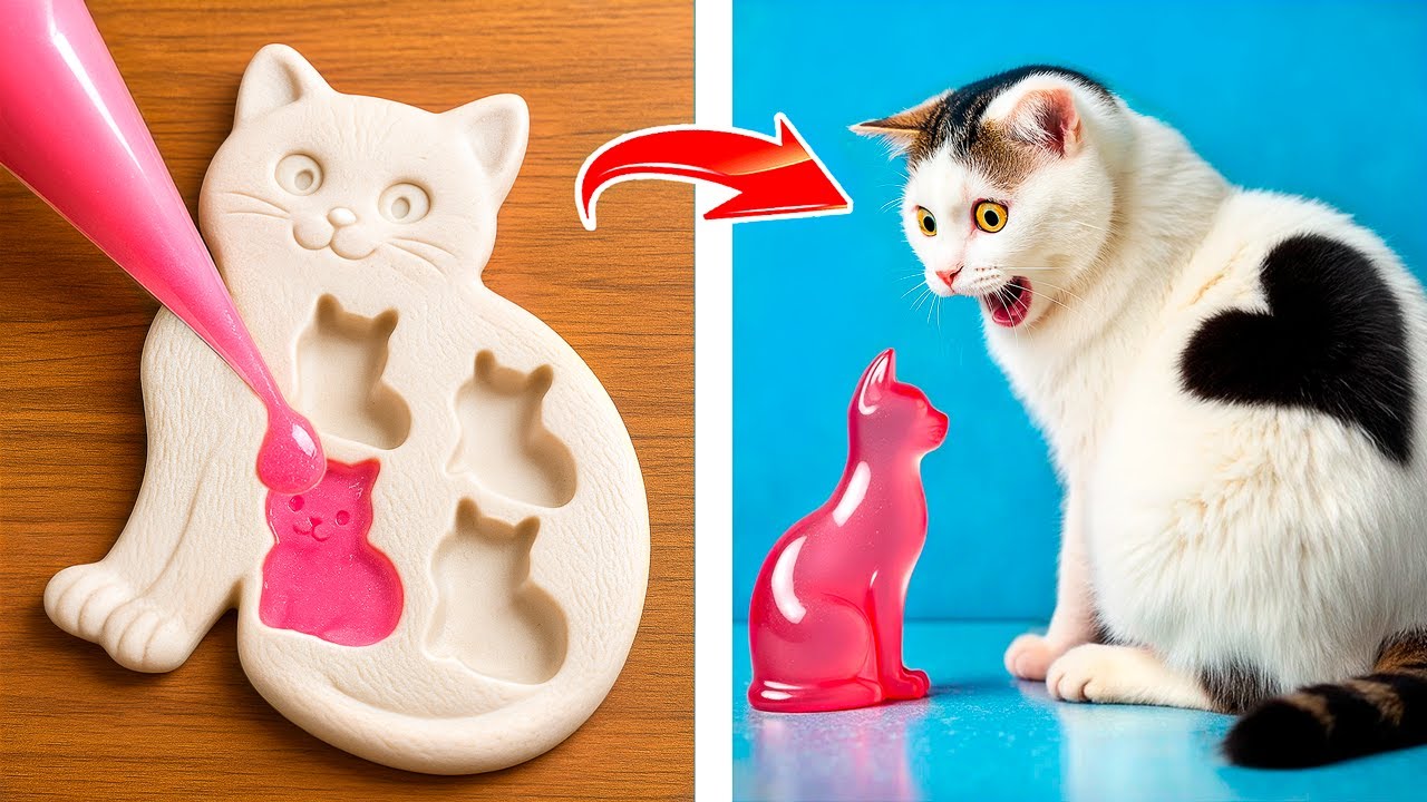 これが便利！ペット用のお得なガジェットと裏ワザ！