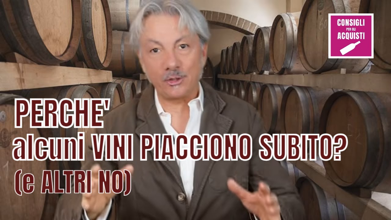 PERCHÉ alcuni VINI PIACCIONO SUBITO a TUTTI (e ALTRI NO)?