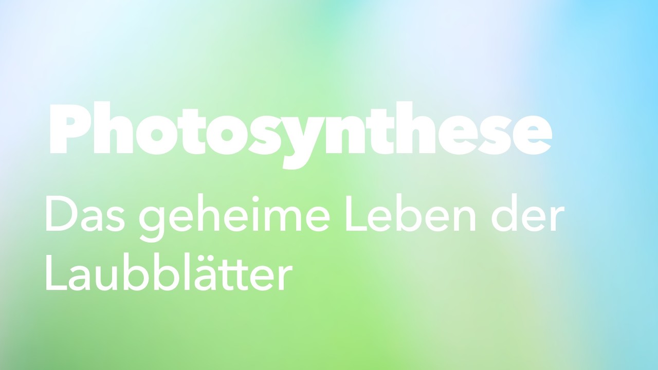 Photosynthese – Das geheime Leben in Laubblättern (Podcast)