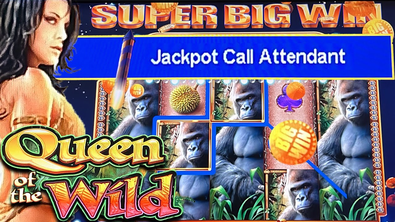 QUEEN OF THE WILD WMS SLOTS ★ THIS BONUS WENT WILD! ➜ HIGH LIMIT ROOM JACKPOT HANDPAY