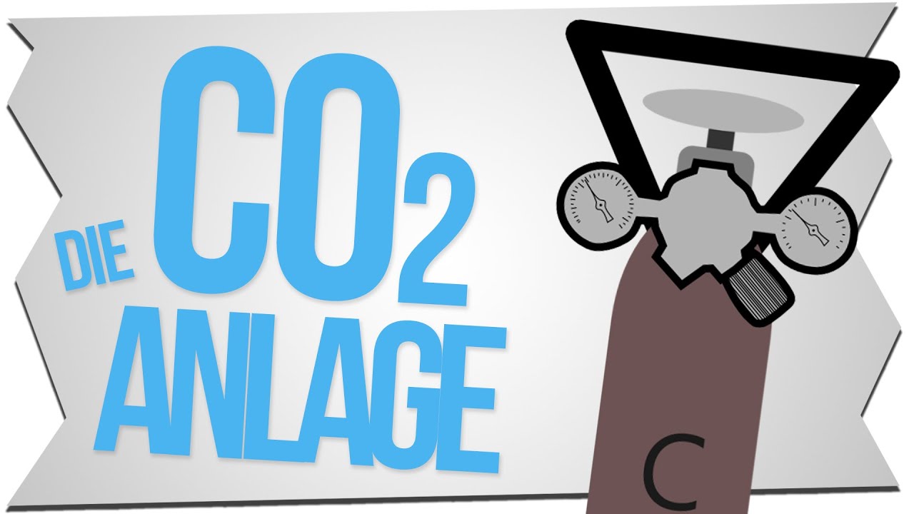 CO2 ANLAGE EINFACH ERKL&Auml;RT | SO FUNKTIONIERT EINE CO2 Anlage | GarnelenTv