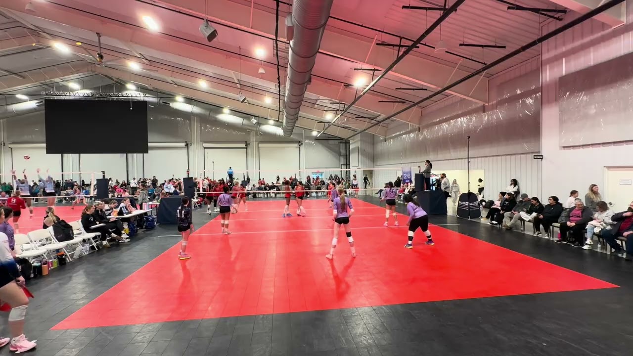 First in Show Day 2 vs FEVA Courtney