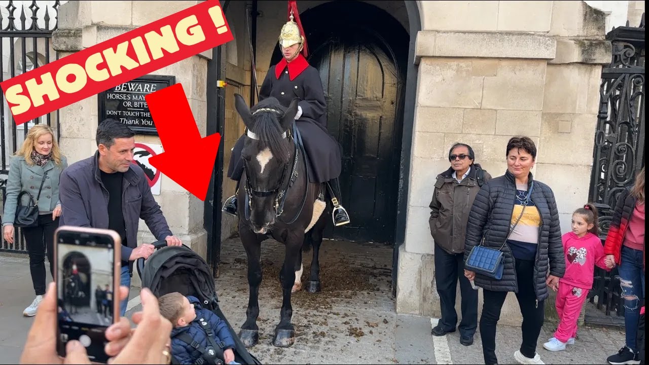 Idiot Tourist Takes PRAM Too Close to Horse n.Mouth, See Guard Shocking Reaction.