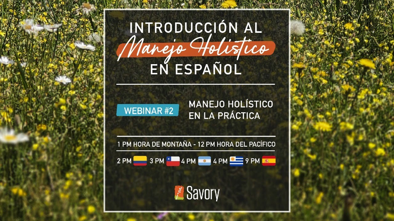 Introducci&oacute;n al Manejo Holistico (en Espa&ntilde;ol)