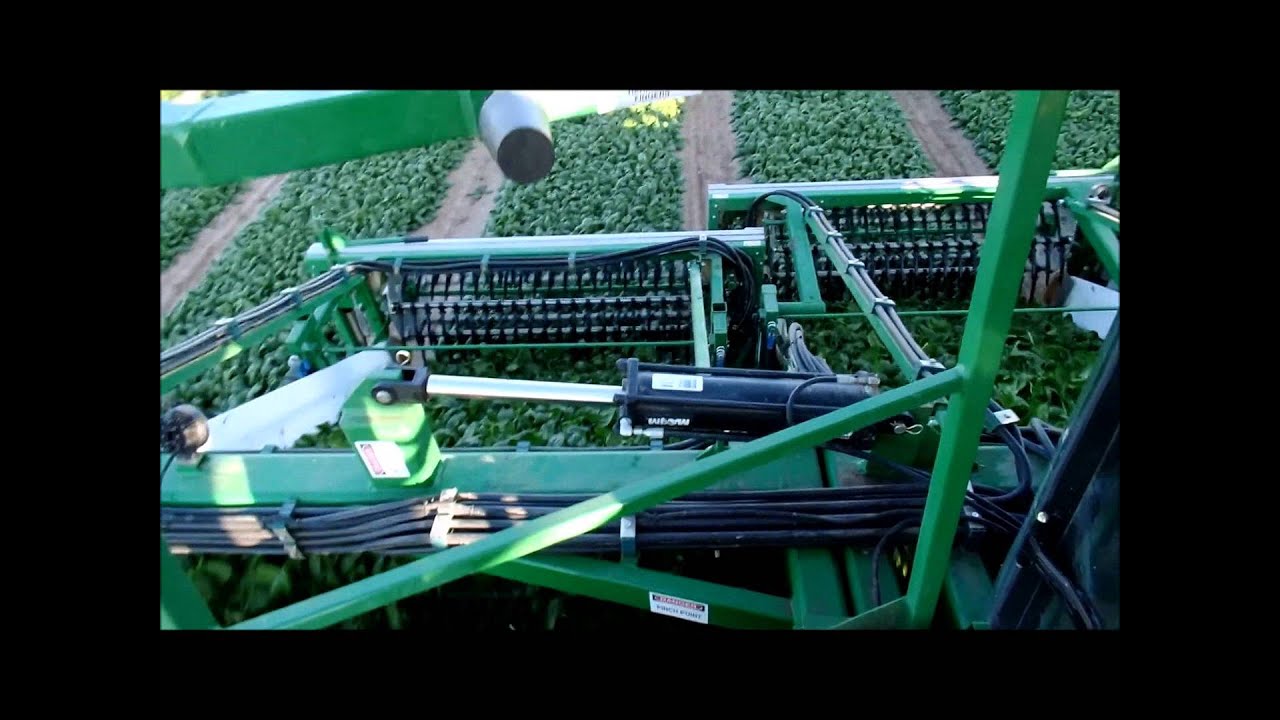 Vogel Engineering Spinach Harvester
