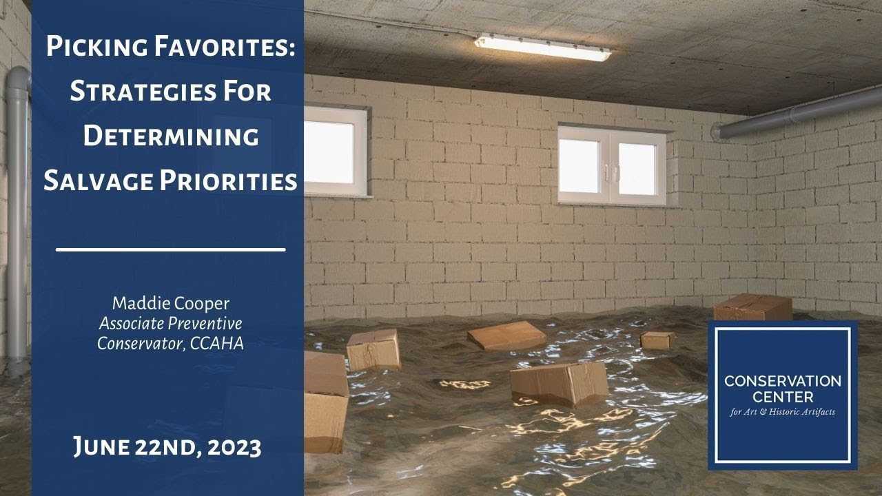 Picking Favorites: Strategies for Determining Salvage Priorities