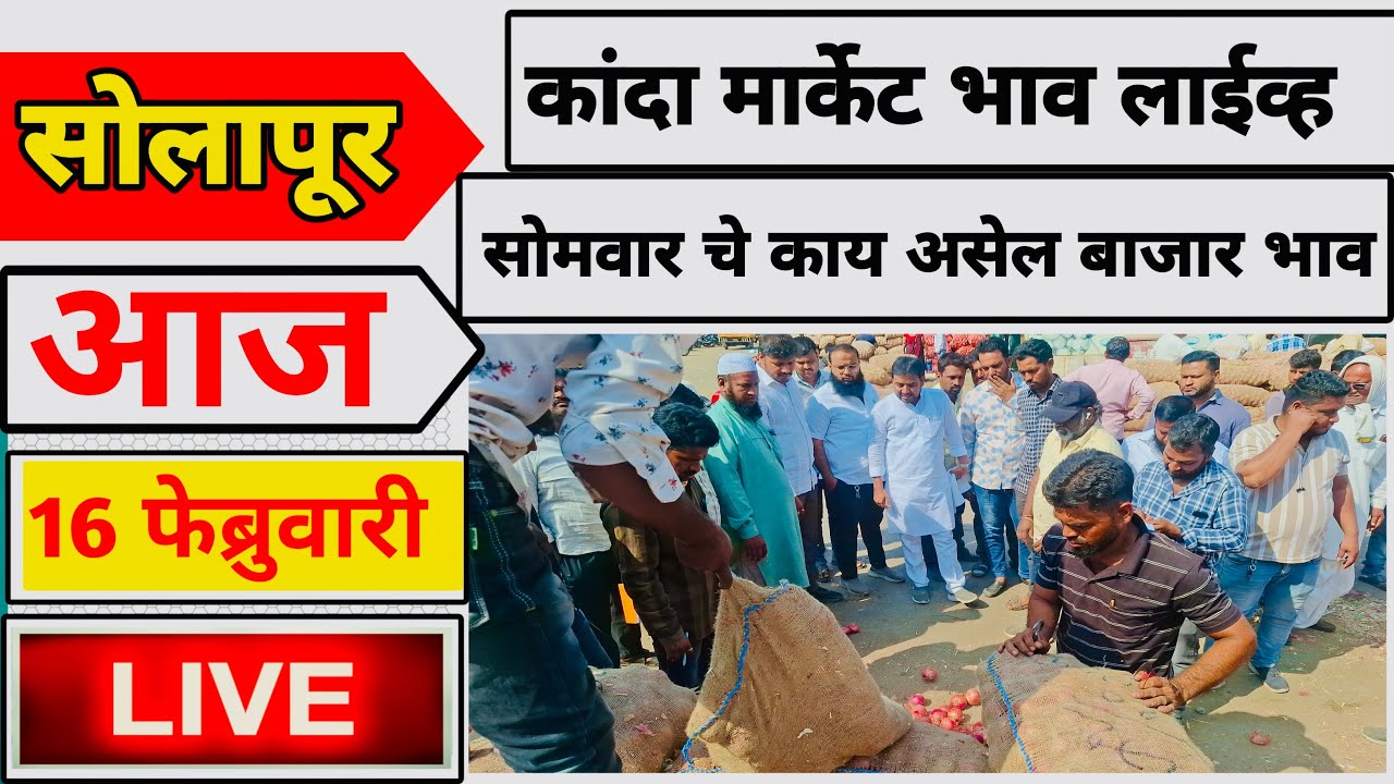 सोलापूर कांदा मार्केट आजचे भाव 16/02/2026 Solapur Kanda market live today
