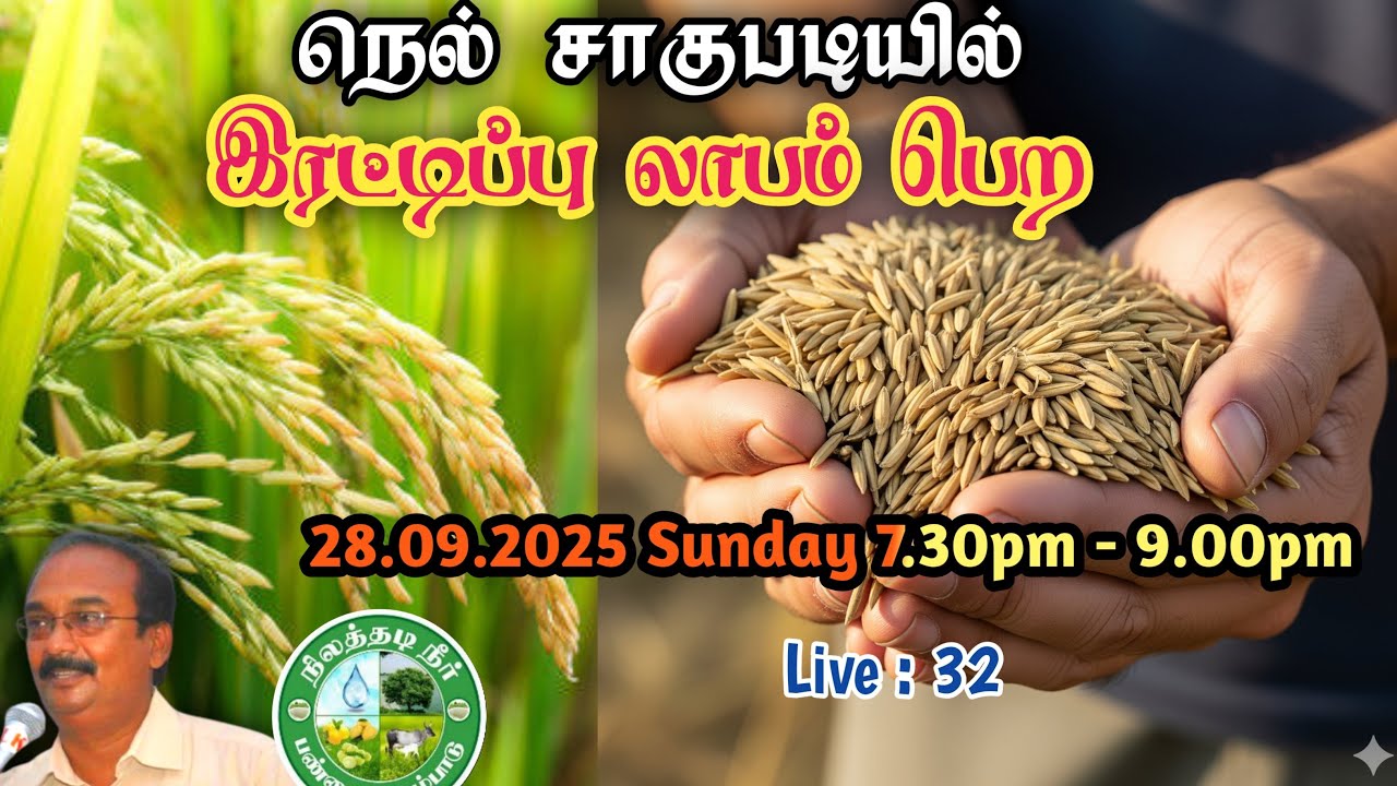 🔴 நெல் விவசாயத்தில் இரட்டிப்பு லாபம் பெற நேரலை #brittoraj #9944450552