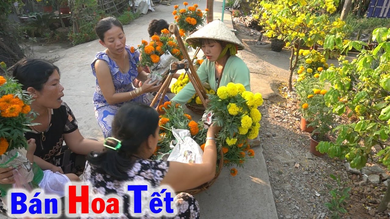 Thu Hoạch Hoa Vạn Thọ và Bán Hoa Dạo Trên Đường Quê ngày Cận Tết - Tập 38