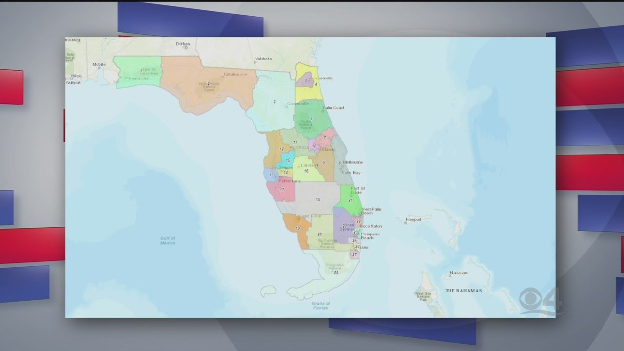 Facing South Florida: Florida Redistricting