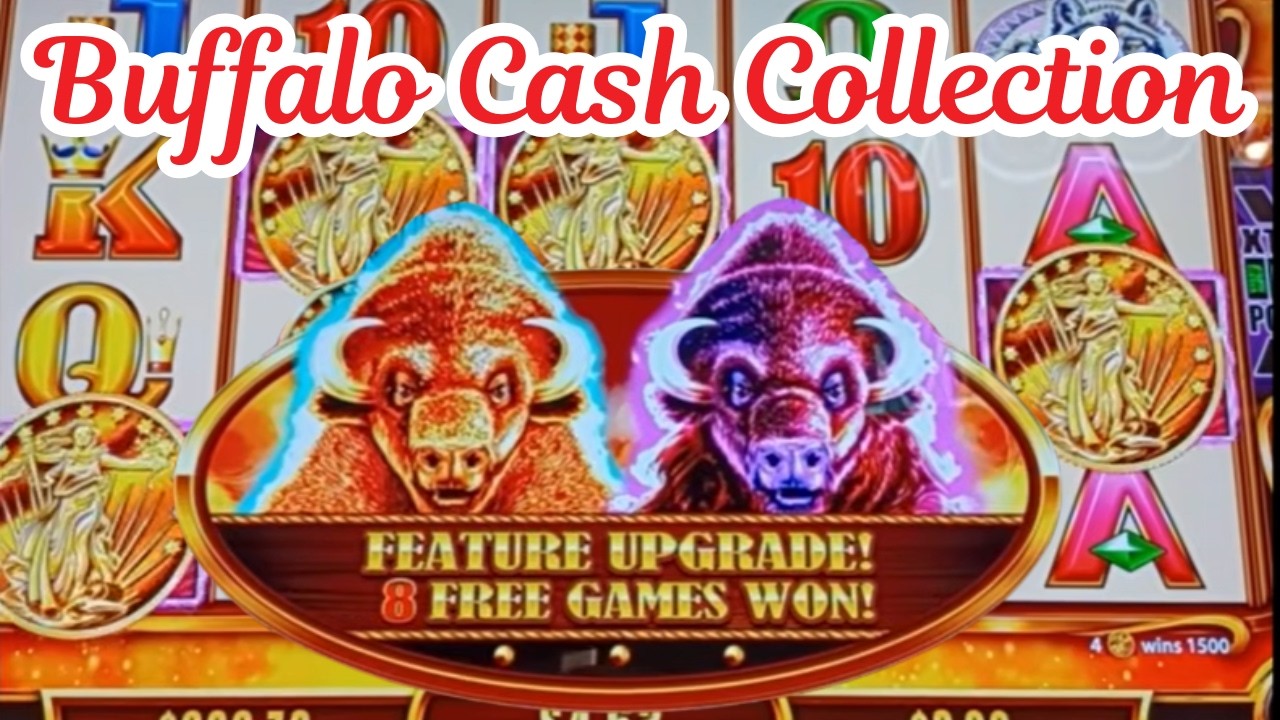 Бонусы в Buffalo Cash Collection