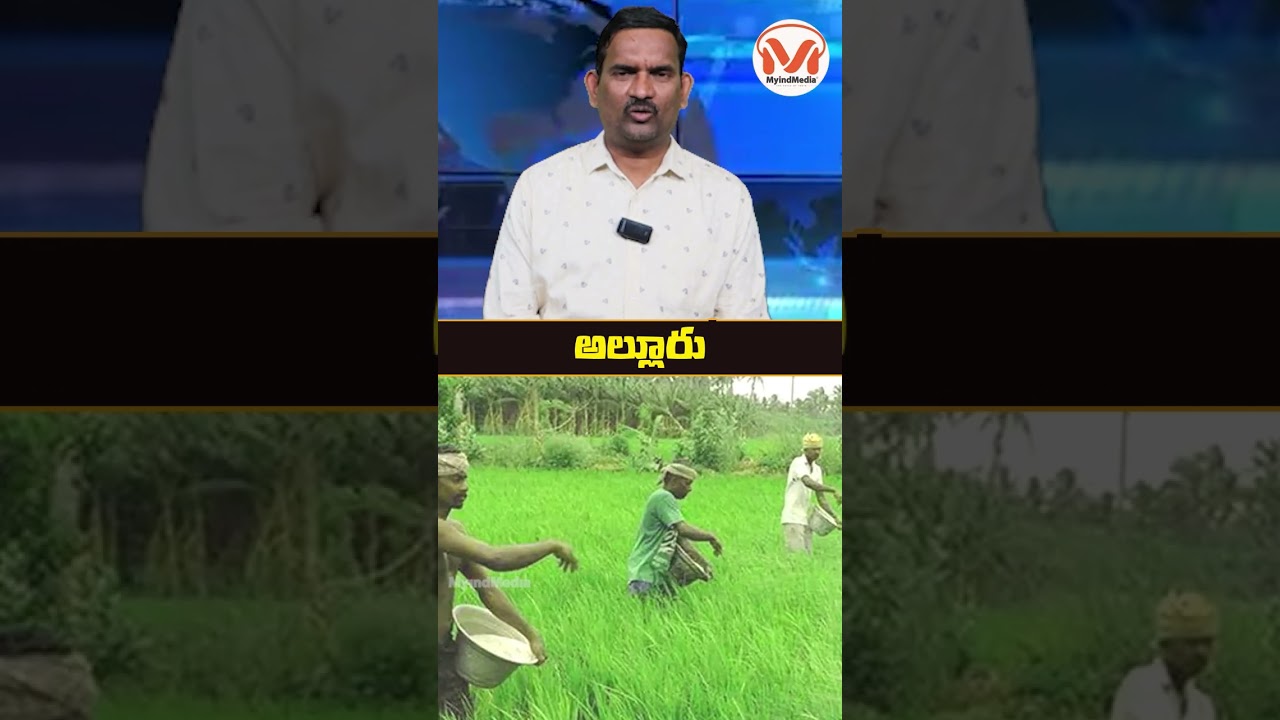 History of Allur, Nellore || ఆలూరు గురించి బ్రిటిష్ రికార్డుల వర్ణన | Unknown Facts | MyIndMedia