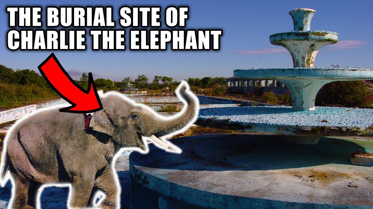 They Buried an Elephant Here! Butlin's Filey Holiday Camp - Part 2