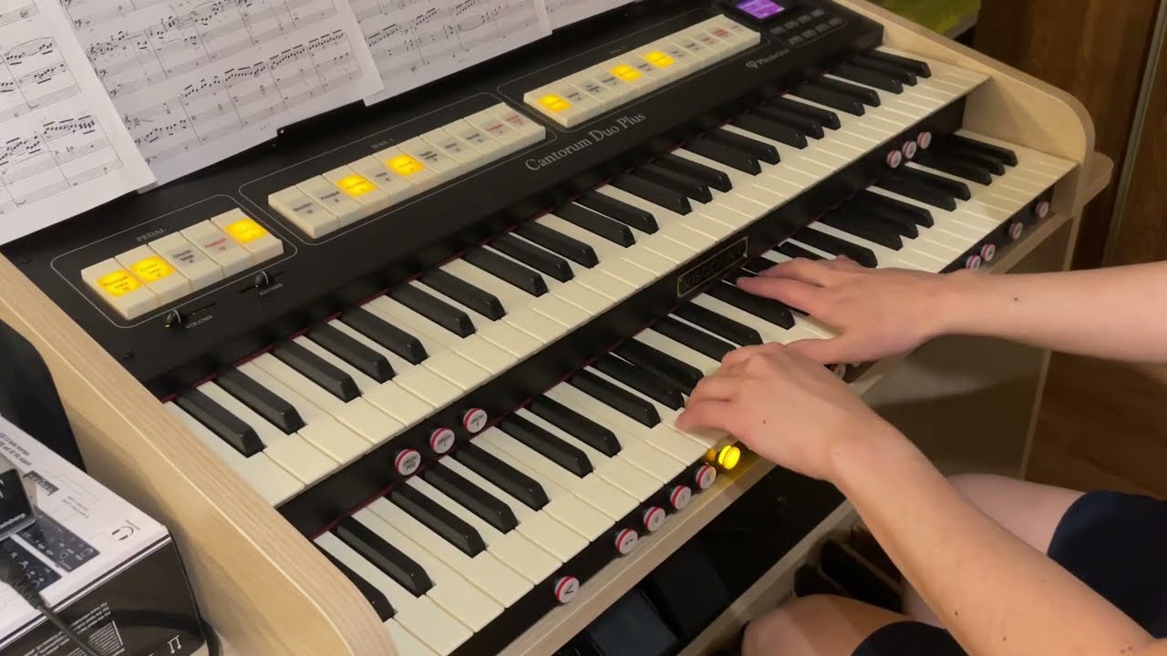 BuxWV 161 Passacagalia in D Minor