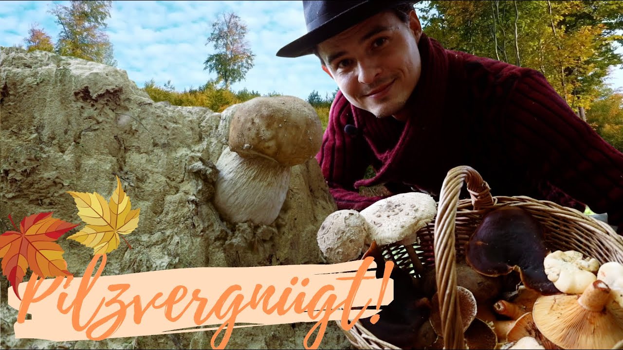 Der Pilzherbst in voller Pracht 🍁Steinpilze, Reizker, Lacktrichterlinge in Hülle und Fülle 🤩